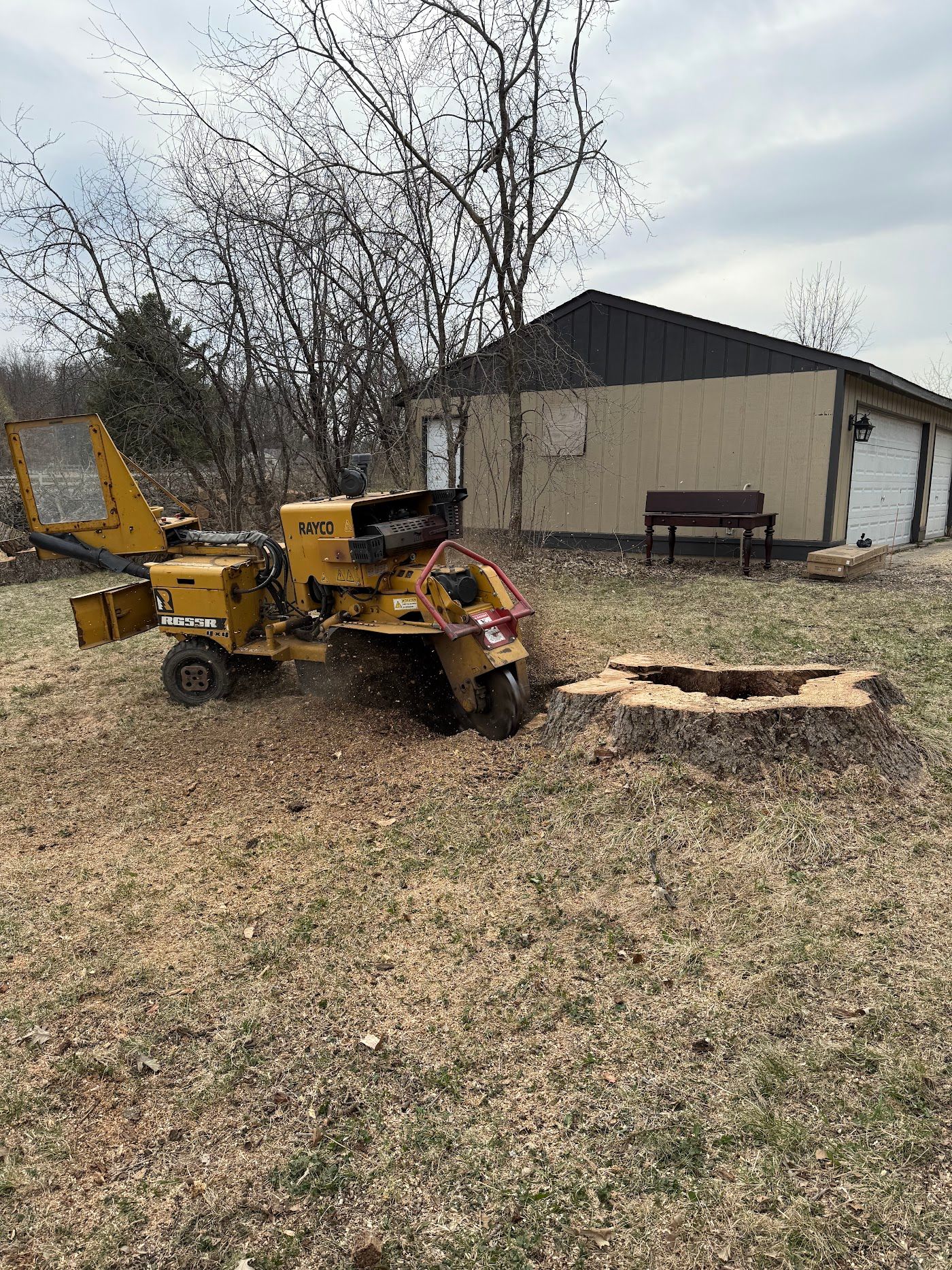 Bansai stump grinder working on a tree stump